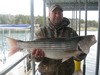 (04/09/2018) - Nice Striped Bass